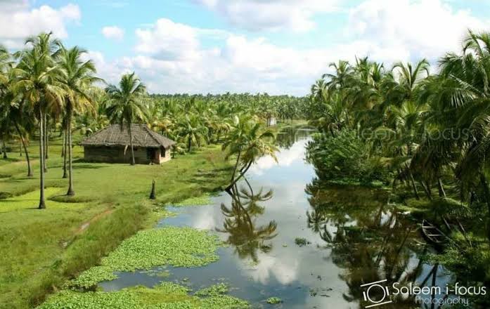 തണ്ണീർത്തട അതോറിറ്റിയിൽ വിവിധ തസ്തികകളിൽ നിയമനം