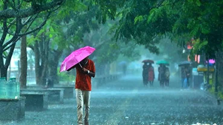 മഴ ശക്തമാകുന്നു: ജൂൺ 27ന് 10 ജില്ലകളിൽ അവധി 